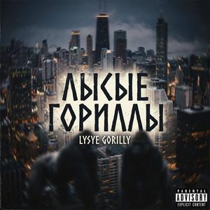 Лысые гориллы