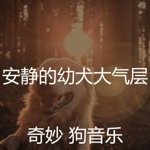 诗意的训练你的狗节奏