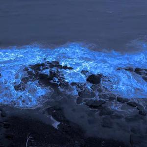 坠海（纯音乐）