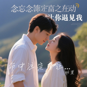 命中注定了让你遇见我（节奏版）