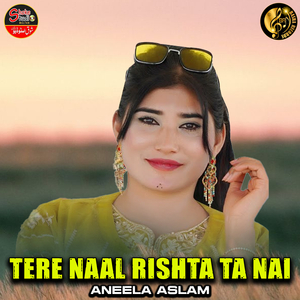 Tere Naal Rishta Ta Nai (1)