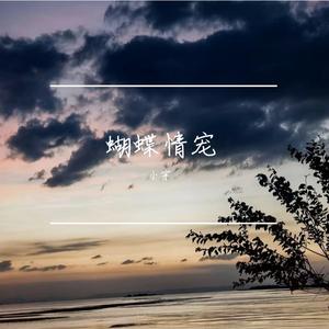 蝴蝶情宠