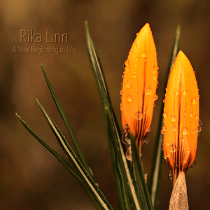 A New Beginning in Life