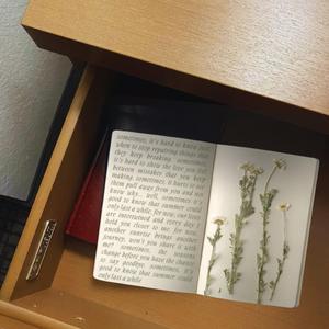 center of the universe (demo)