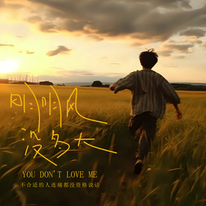 明明风没多大 (伴奏)