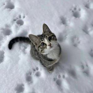 比初雪先来的是你