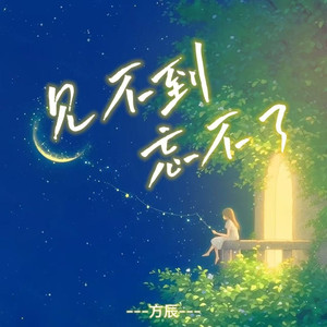 见不到忘不了 (DJ默涵版)