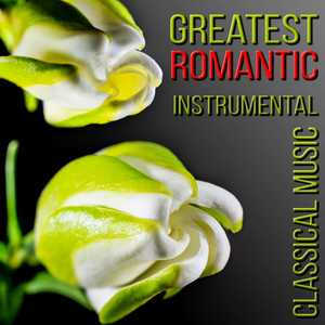 Trio for Piano, Violin and Cello In E Minor, Op. 90, B. 166 "Dumky": III. Andante - Vivace ma non troppo (Piano Version)
