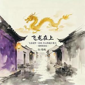 飞龙在上