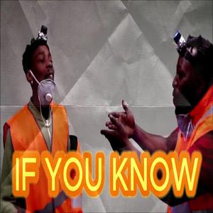 IF YOU KNOW (feat. MOS HOOD, Big Phil, haunnted & oseikrom philly) (Special Version)