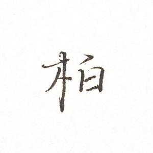 山姜柏