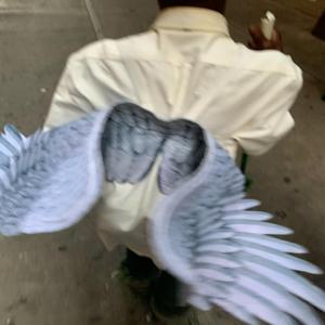 Quand vas tu rentrer (Demo)