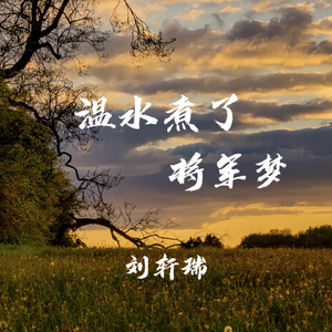 温水煮了将军梦 (DJ版)