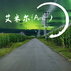 艾米尔{Amir）