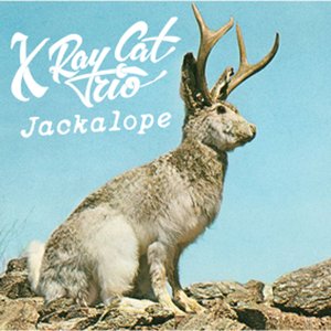 Jackalope