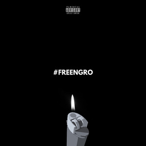 #FREENGRO