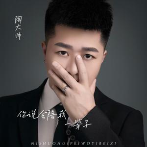 你说会陪我一辈子 (DJR7版)