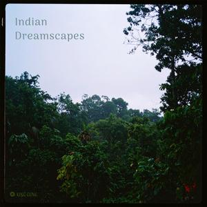 Raindrop dance at dawn