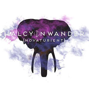 Novaturient