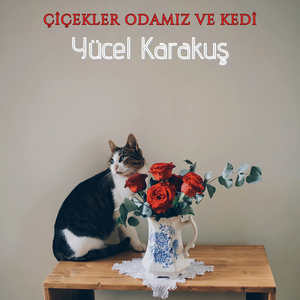 Çiçekler Odamız Ve Kedi
