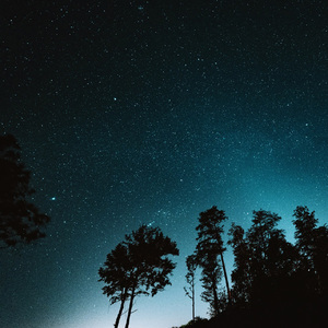 一个人独自看日落