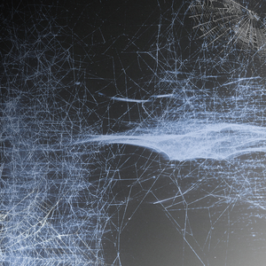 The Shadow of My Mind