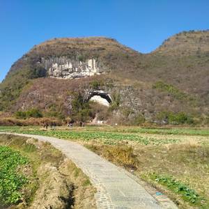 唯愿情爱永不停息