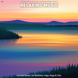 Relaxing Music for Studying