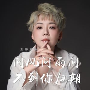 问风问雨问不到你归期