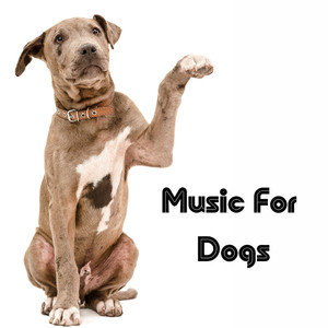 Music for Dogs Peace