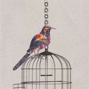 笼中鸟