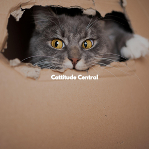 Smart Music for Fresh Fog