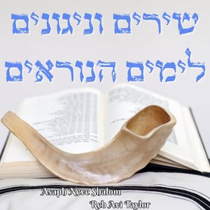 כבקרת רועה עדרו