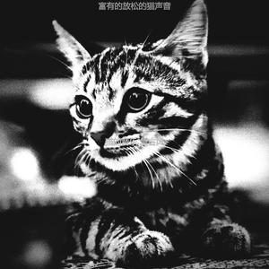 抚慰的可爱的猫回忆