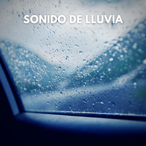 Sonido de Lluvia Dentro de un Coche, Pt. 01