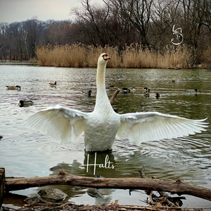 Naught to Do but to Be