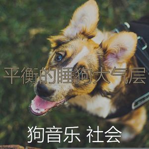 一尘不染小狗印象数