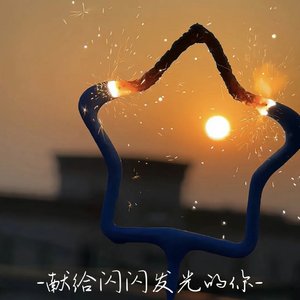 献给闪闪发光的你