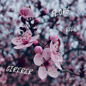 Flors Del Cirerer