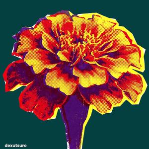 Marigold