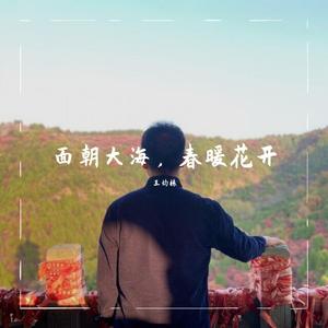 面朝大海，春暖花开 伴奏