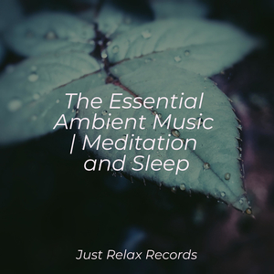 Blissful Blossom Waltz