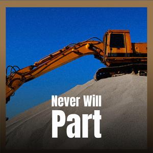 Going Back to New Orleans