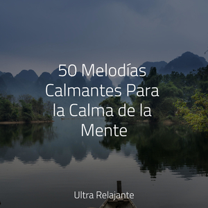 Perdido en El Paraíso
