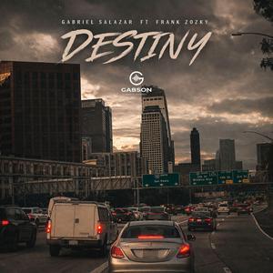 Destiny (feat. Frank Zuzky)
