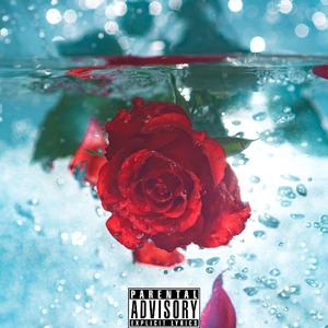 我好好学习你能不能当我歌里的女主角