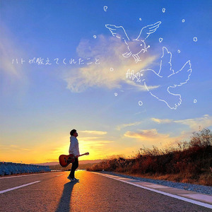 ハトが教えてくれたこと