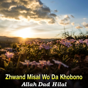 Zharale Mu Wa Khudai Ta Der Kalona