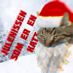 Julenissen som er en katt