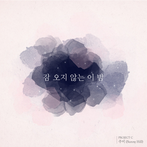 잠 오지 않는 이 밤(Inst.)